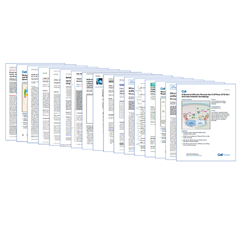GenStar代表性文獻(xiàn)節(jié)選分享