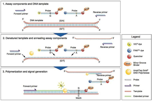 0609-02.png 0609-02.png