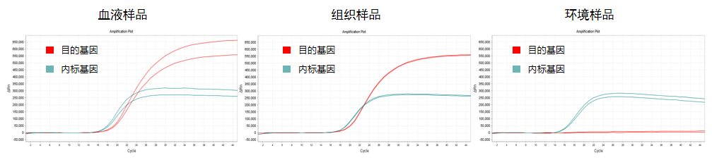 0527-05.png 0527-05.png