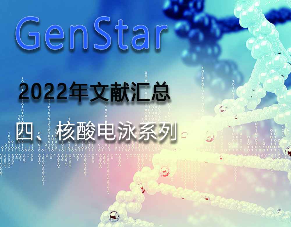 GenStar 2022年文獻(xiàn)匯總（四、核酸電泳系列）